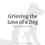 Grieving the Loss of a Dog: 7 Ways to Cope