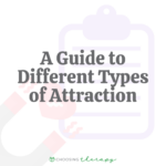 A Guide to 14 Different Types of Attraction
